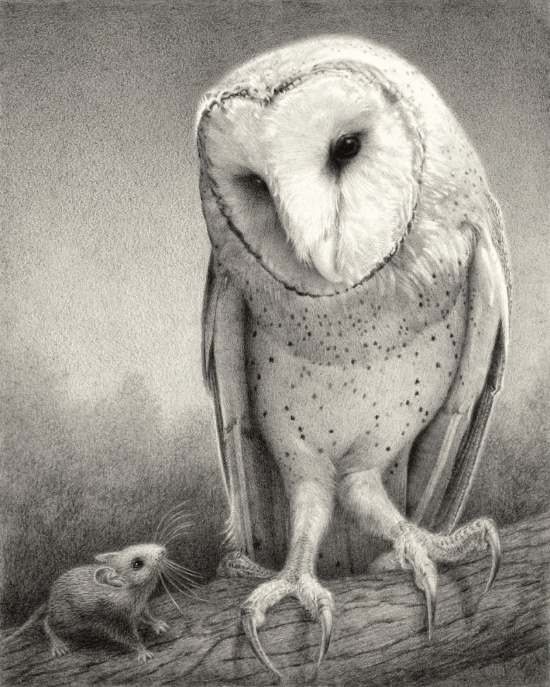 SUSAN McDONNELL, Benevolent Owl, 2019 for American Art Collector article