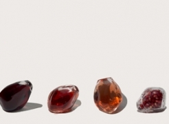 Vani  Winick , Pomegranate Seeds as Vessels, 2014