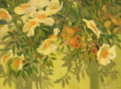 MEREDITH BROOKS ABBOTT , Roses and Shadows, 2014