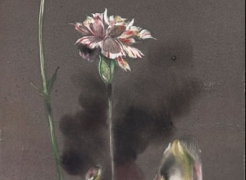 JOSEPH GOLDYNE, Two Carnations, One Tulip, 1990