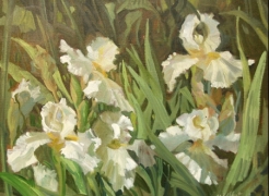 MEREDITH BROOKS ABBOTT , White Iris, 2014