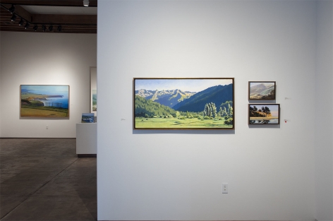 Installation photograph of ROBIN GOWEN: Sight Lines, 2021 with Hank Pitcher in background