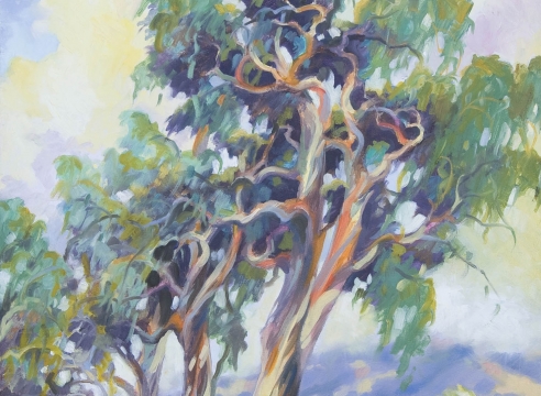 ROBIN GOWEN , John's Eucalyptus, 2017