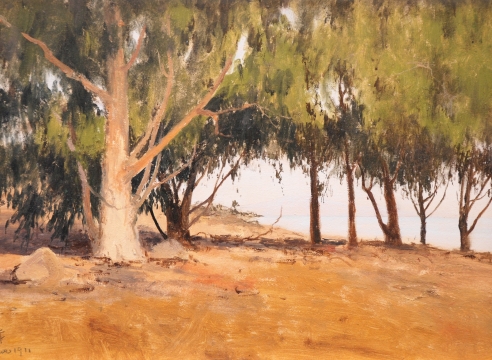 LOCKWOOD DE FOREST (1850-1932), View Through Eucalyptus Trees To The Rincon, Nov. 1911