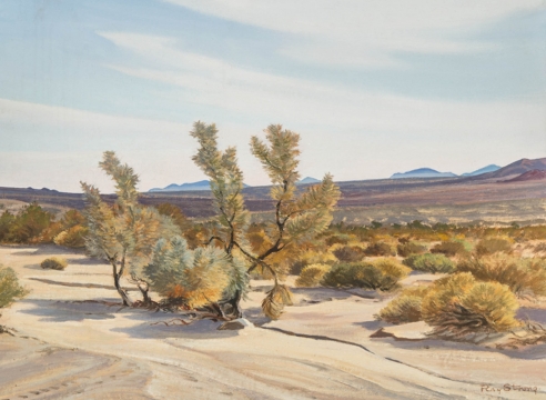 Ray Strong , Palm Desert, 1946
