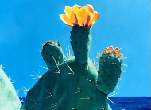 Jennifer LeMay , Cactus Flower, 2016