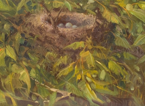 MEREDITH BROOKS ABBOTT, Nest in the Apricot Tree, 2019