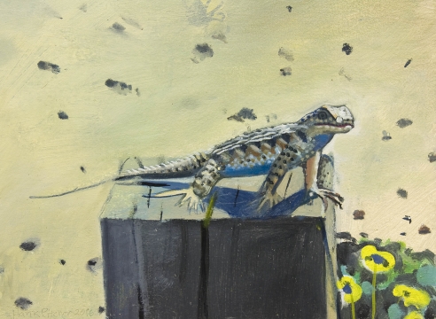 HANK PITCHER (b. 1949), Blue Belly Lizard, 2016