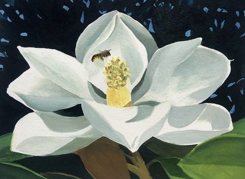 JENNIFER LEMAY, Magnolia Bloom, 2021