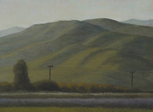 SARAH VEDDER , Fields by the Foothills, 2004.