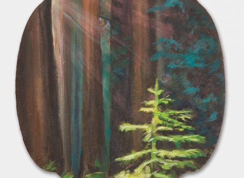 HOLLI HARMON , My Lover's Eye - Redwood Forest, 2020