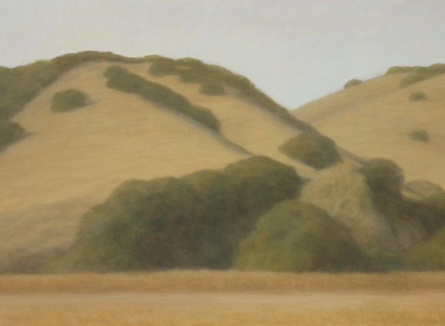 SARAH VEDDER, The Gold Hills, 2006