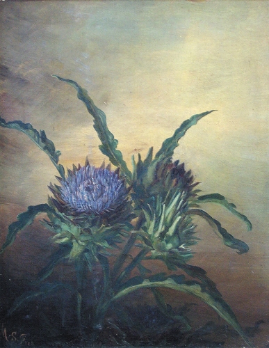Artichoke Plant, 1885

20 x 16 inches | oil on canvas