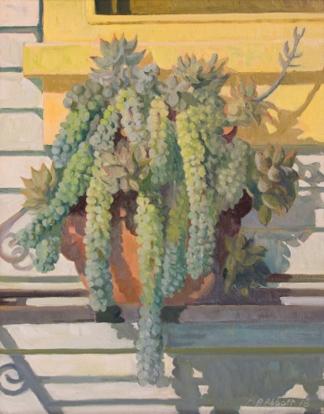 MEREDITH BROOKS ABBOTT , Succulents, 2018 for VOICE article